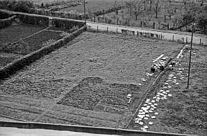 1953_bau marienschule_n_neben dem pavillon